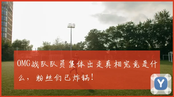 OMG战队队员集体出走真相究竟是什么，粉丝们已炸锅！